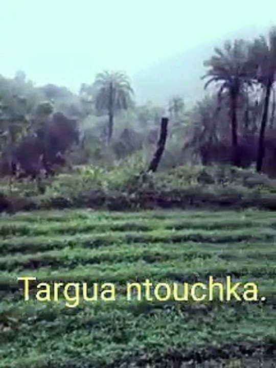 Oasis Targua ntouchka chtouka ait baha