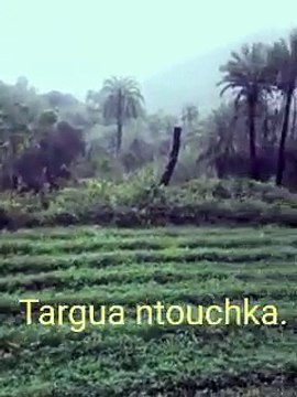 Oasis Targua ntouchka chtouka ait baha