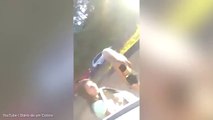 Funny moment blonde woman dancing on roadside causes car crash