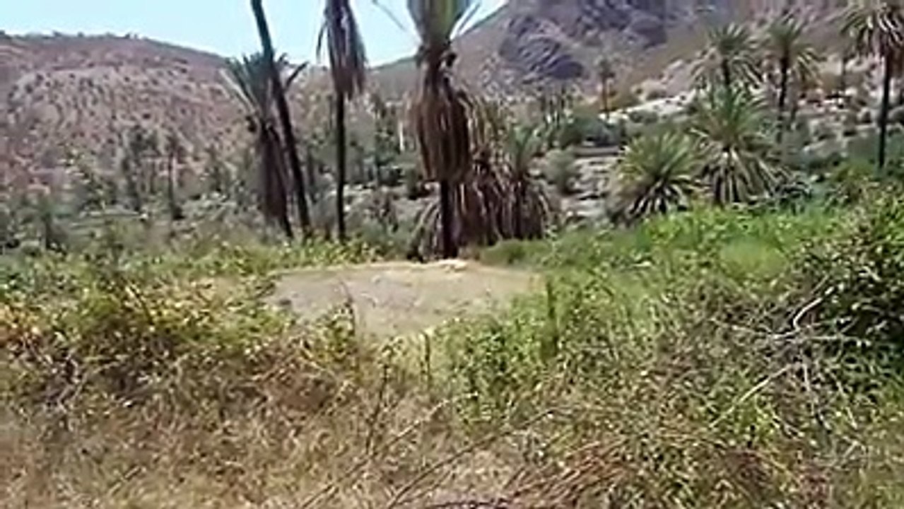 Targua ntouchka maroc