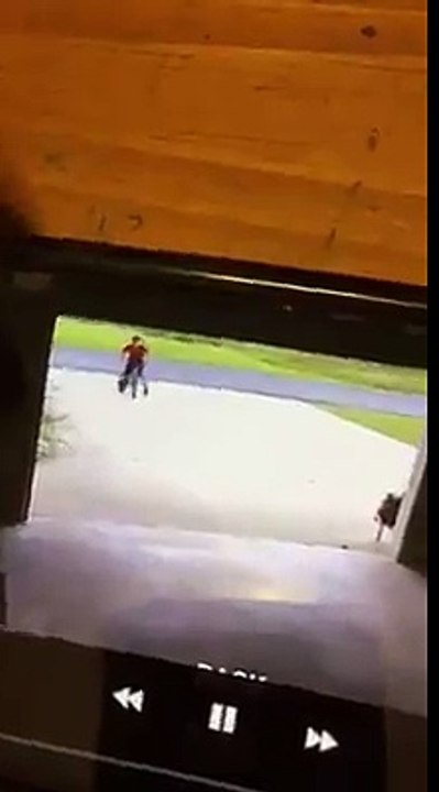 Un petit voisin se rend régulièrement vers son garage. Ce qu'il fait avec sa chienne, la pousse à retrouver le petit !