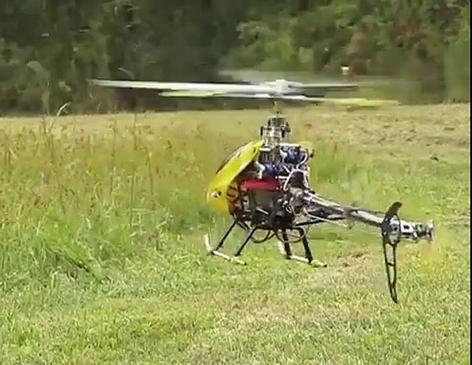 Il tue les guêpes avec les pales d'un hélicoptère télécomandé !