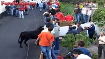 Most Awesome BullFighting festival in Portugal #6 - Best Funny Video Try Not to Laugh Bull Fails