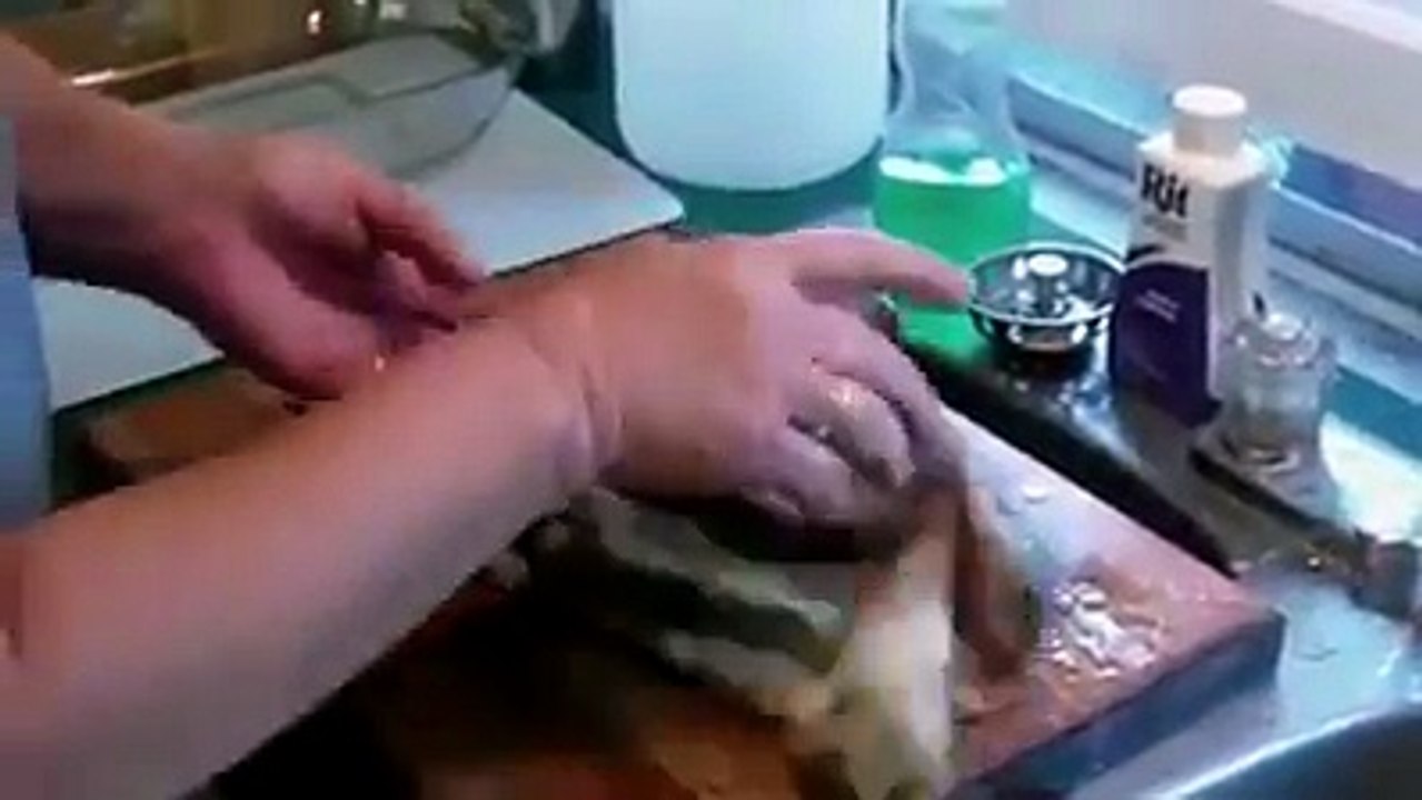 funny clips-funny pranks-funny fails-funny videos-Best Fails-top funny-funny videos 2016-Funny