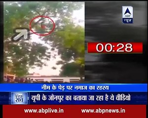 Viral Sach_ Know if this UP woman offers Namaz after climbing a neem tree