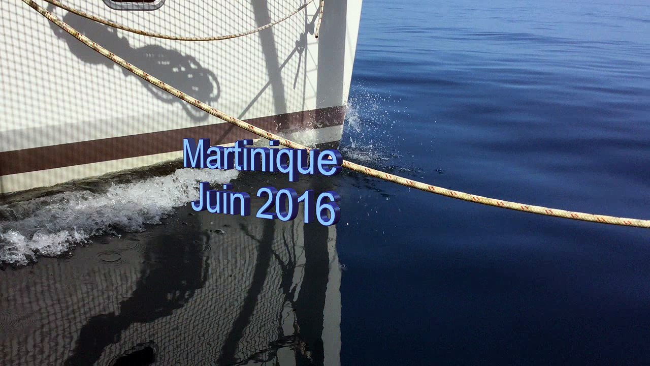 2016 06 Naviguer avec les dauphins HD