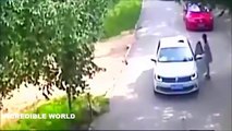 zoo animal attacks  in the saffari park on the woman see video latest 2016