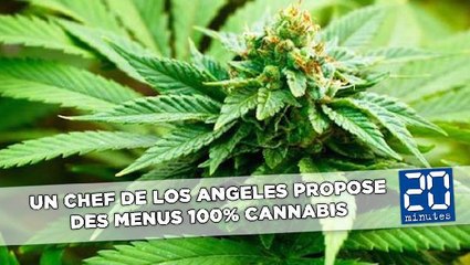Un chef de Los Angeles propose des menus 100% cannabis