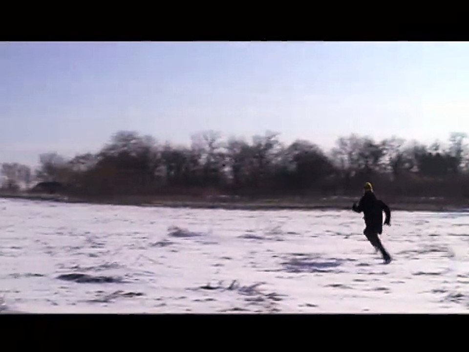 Des chiens dans la neige VOST