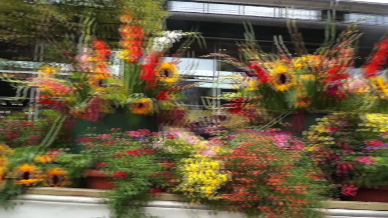 Gärtnerjahrtag 2016 am 02.08.2016 - der Umzug durch die Münchner Innenstadt