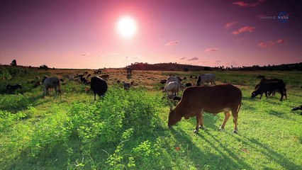 ScienceCasts - Methane Stinks On Earth, Mars, and Beyond - HD