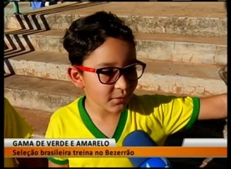 GAMA DE VERDE E AMARELO