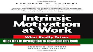 Books Intrinsic Motivation at Work: What Really Drives Employee Engagement Full Download