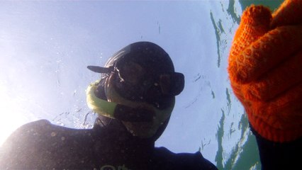 Apneia, navegados, navegando nas ondas e ilhas da Praia da Enseada, Ubatuba, SP, Brasil, Marcelo Ambrogi, vida marinha, 4k, ultra HD, (5)