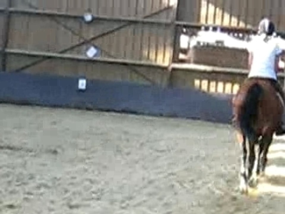 Domino et Flo.