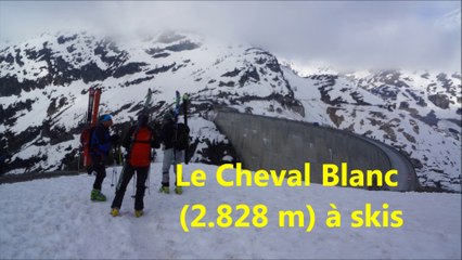 Cheval Blanc à skis