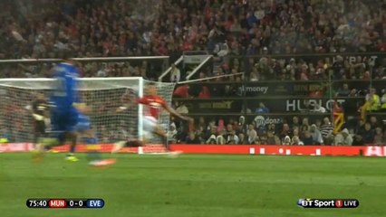Muhamed Besic Injury vs Manchester United (3-8-2016)