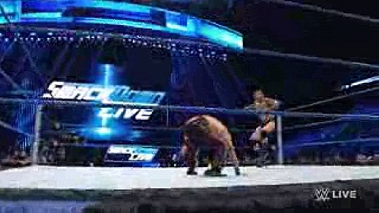 F5 from Raw on Smackdown