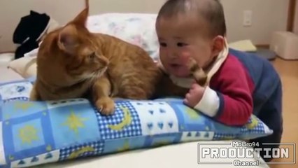 Babies annoying cats – Funny baby & cat compilation