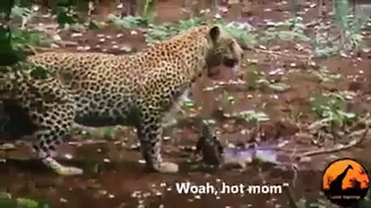 سبحان الله