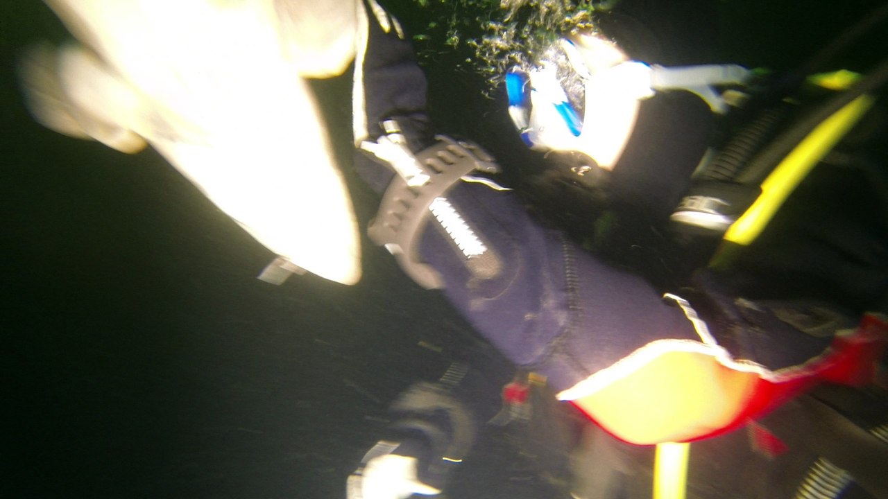 ALEX ESTURGEONS 08.2016