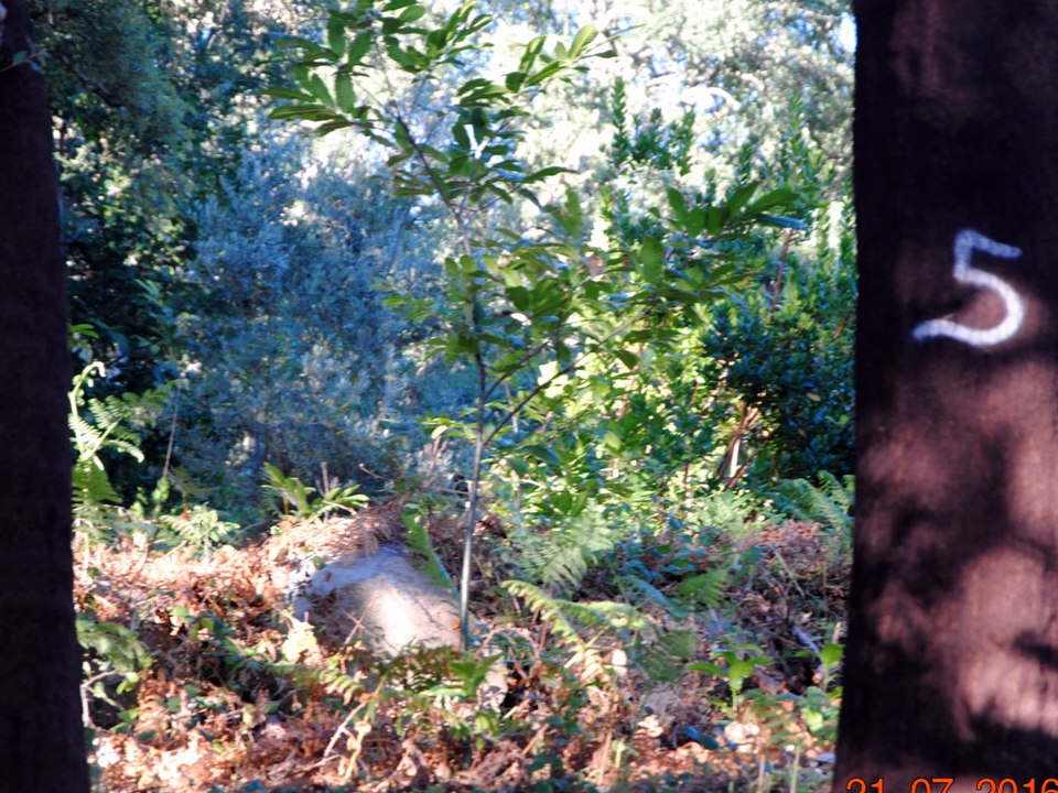 Depuis l'Algarve jusqu'au retour à Málaga