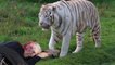 Top 10 Des Attaques Mortelles d'Animaux Sauvages aux Zoo♦Les Plus Dangereux Attaques d'Animaux