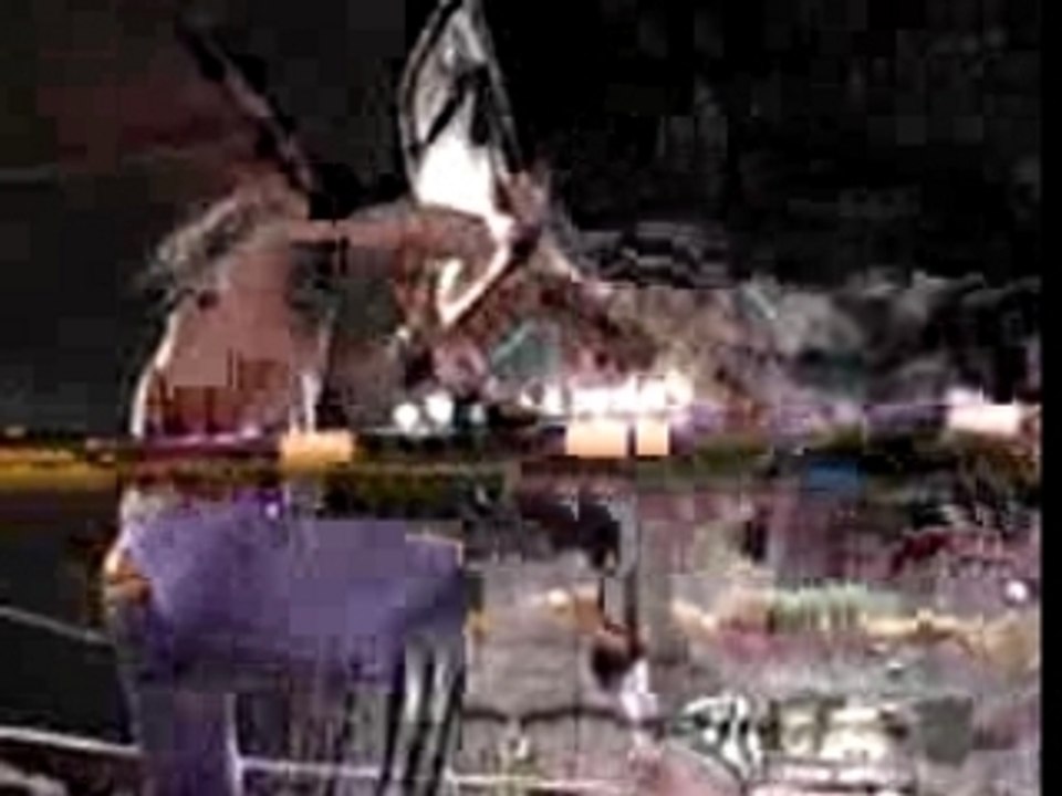 Jerry lynn reverses van daminator