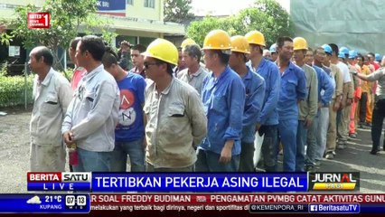 Dialog: Tertibkan Pekerja Asing Ilegal #1
