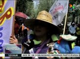 México: CNTE realizará foros para reformar sistema educativo