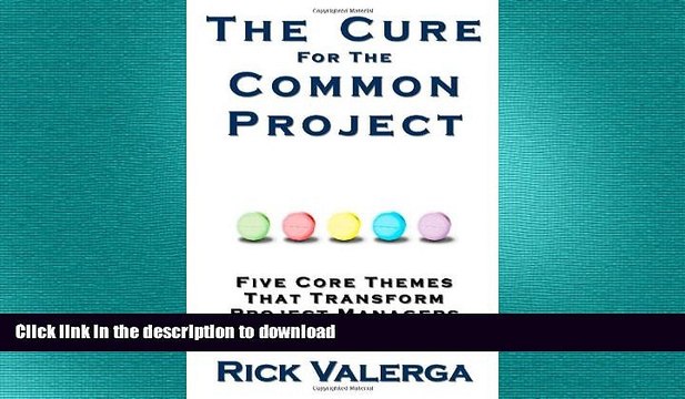 FAVORIT BOOK The Cure for the Common Project: Five Core Themes That Transform Project Managers