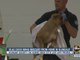 Dozens of dogs rescued in Glendale