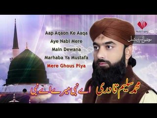 Mere Ghous Piya - Muhammad Saleem Qadri