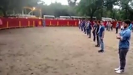 Un Gruppo Di Ragazzi Attende Immobile Nell'Arena: Quando Entra Il Toro, La Reazione è Sorprendente