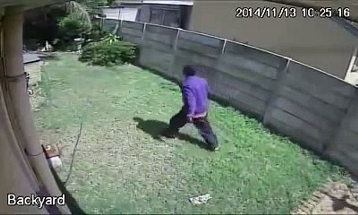 Un voleur chassé par un chien de garde... Ahaha