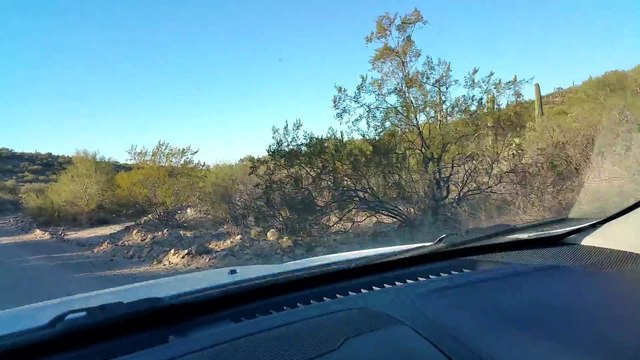 Donner de l'eau à un animal assoiffé dans le désert... Il est mort !