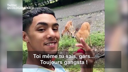 Il devient ami avec des cerfs sauvages