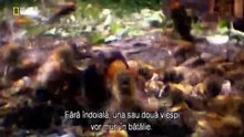 Animale de groază
