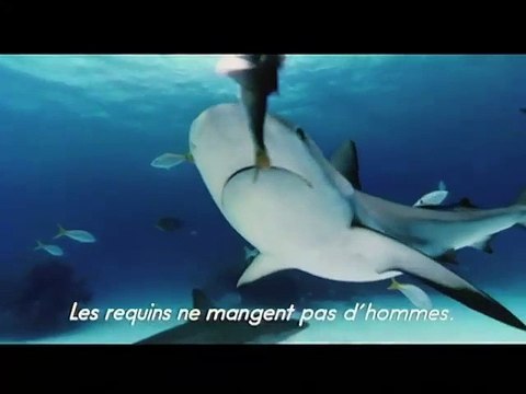 Les seigneurs de la mer VOST- Ext 1