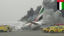 Emirates plane crash-lands, passengers escape burning wreckage