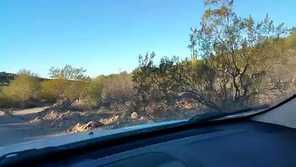 Secourir un animal assoiffé dans le désert