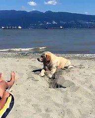 Après la pause, il faut se remettre au travail