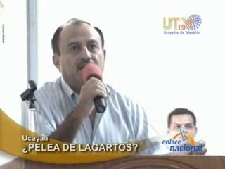 ¿PELEA DE LAGARTOS? - PUCALLPA