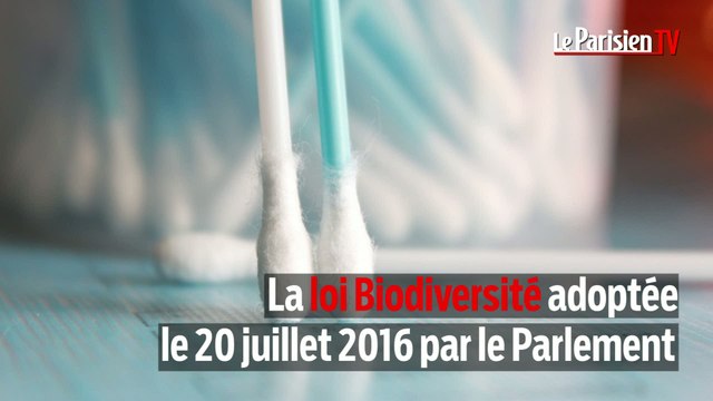 Les cotons-tiges en plastique vont disparaître