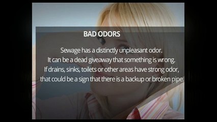 Signs You Have a Burst Pipe