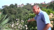 Trabzon Ergenekon Davası Eski Hakimi Köksal Şengün: Bunlar Beni Kanser Etti