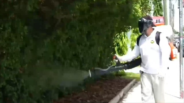 فيروس زيكا يهدد مناطق عدة بأميركا