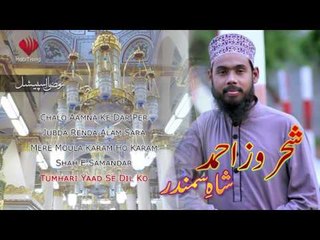 Tumhari Yaad Se Dil Ko - Shahroz Ahmed