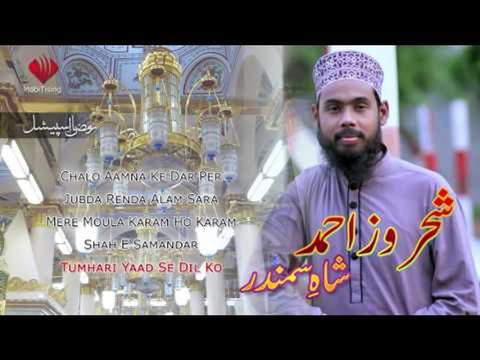 Tumhari Yaad Se Dil Ko - Shahroz Ahmed