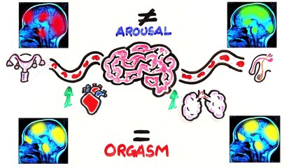 Homme ou femme : qui a le meilleur orgasme ?